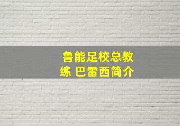 鲁能足校总教练 巴雷西简介